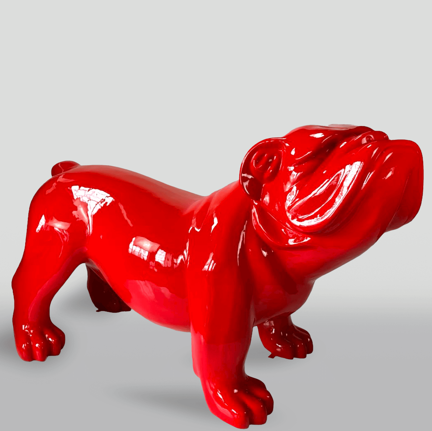 English Bulldog – H 140 cm x L 226 cm x W 95 cm